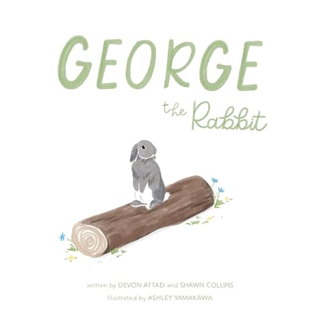 george the rabbit